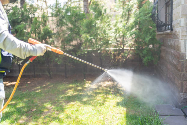 Flea Control Services in Navy, VA